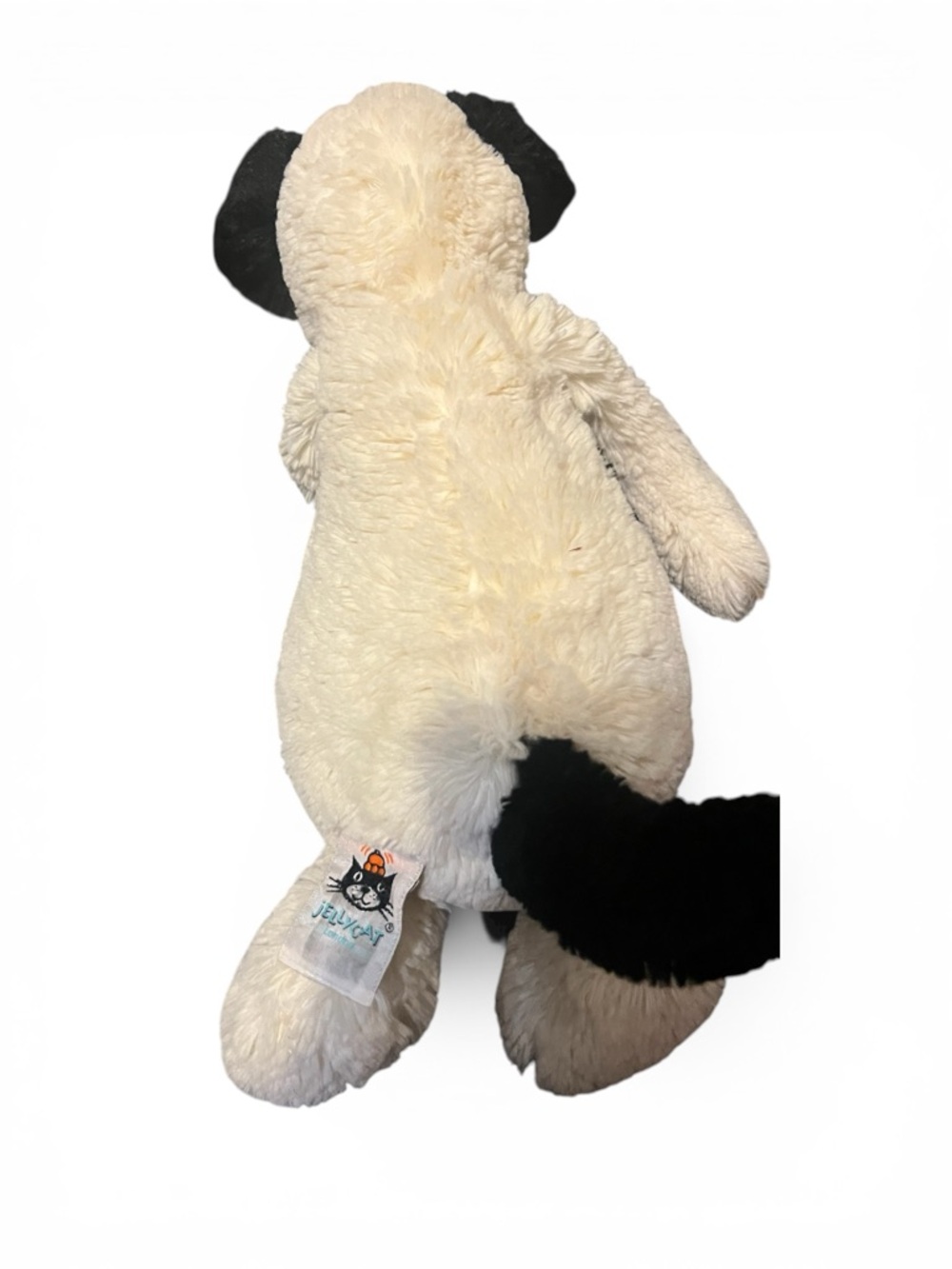 Bashful Black & Cream
Puppy - Picture 5 of 6